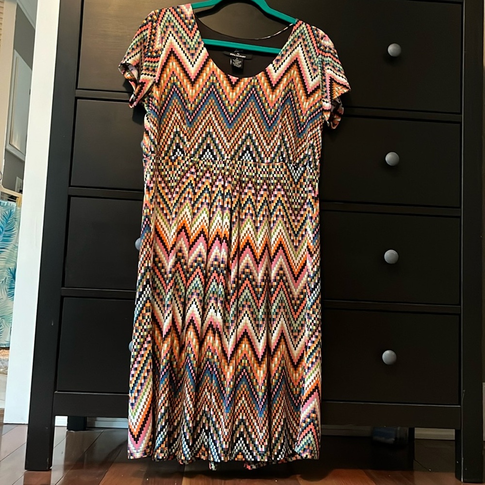 Lennie for Nina Leonard Colorblock Dress
